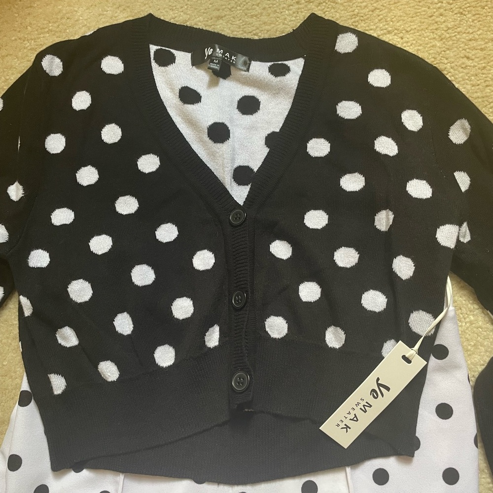 2 piece set Canvas Polka Dot High-Waisted Pants and Ye Mak sweater NWT - Picture 7 of 12